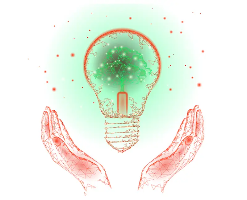 ENVIRONMENTAL RESPONSIBILITY